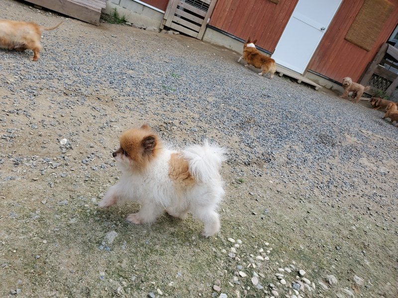 f:id:roukenhome-ann:20190917070549j:plain