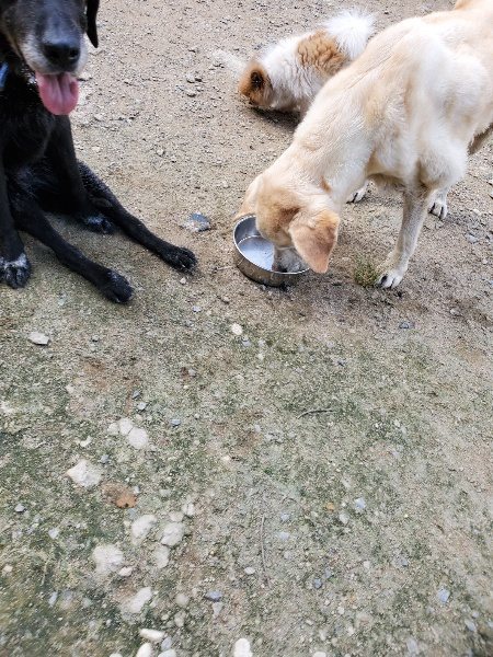 f:id:roukenhome-ann:20190917070601j:plain