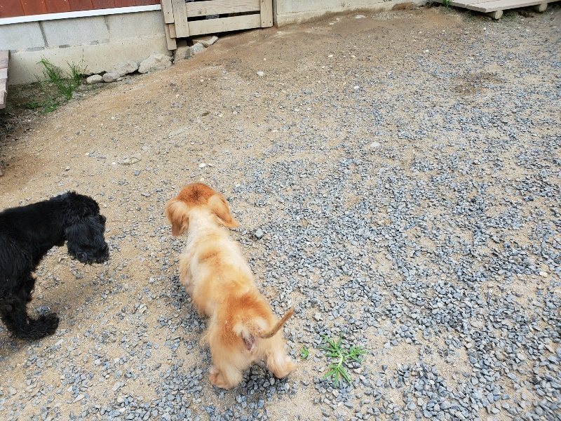 f:id:roukenhome-ann:20190917070613j:plain