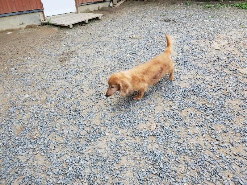 f:id:roukenhome-ann:20190917070619j:plain