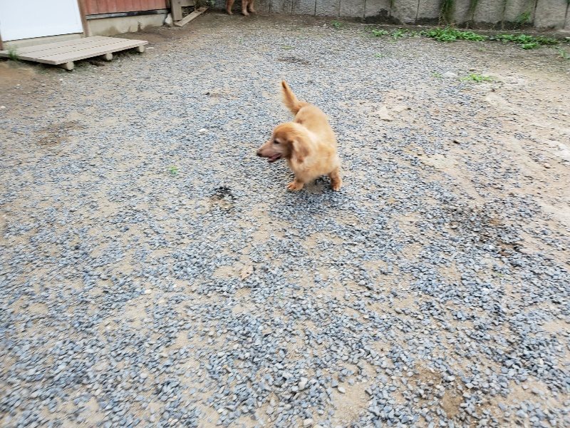 f:id:roukenhome-ann:20190917070626j:plain