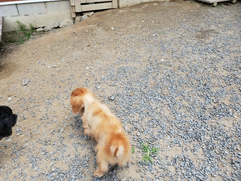 f:id:roukenhome-ann:20190917070633j:plain