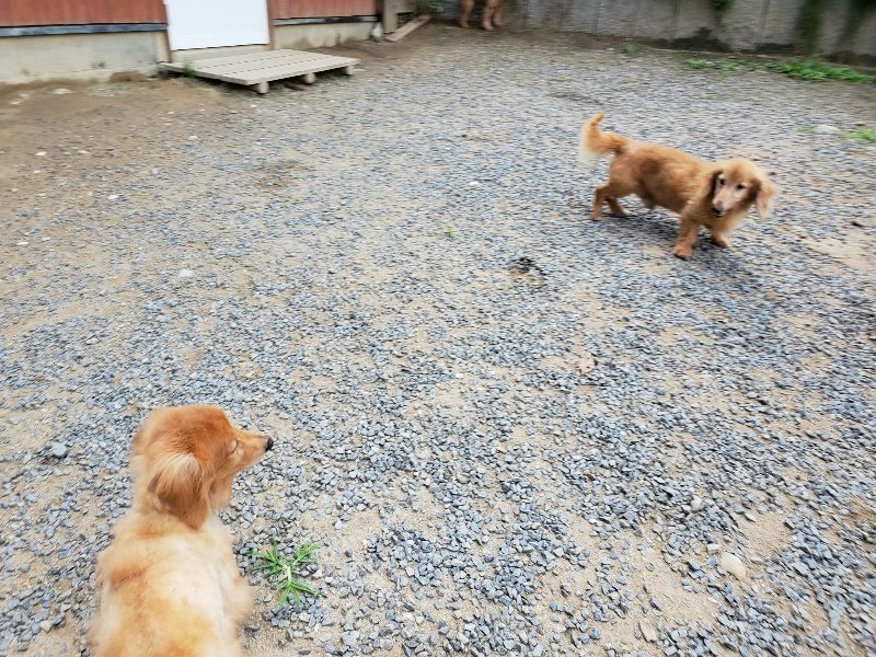 f:id:roukenhome-ann:20190917070646j:plain