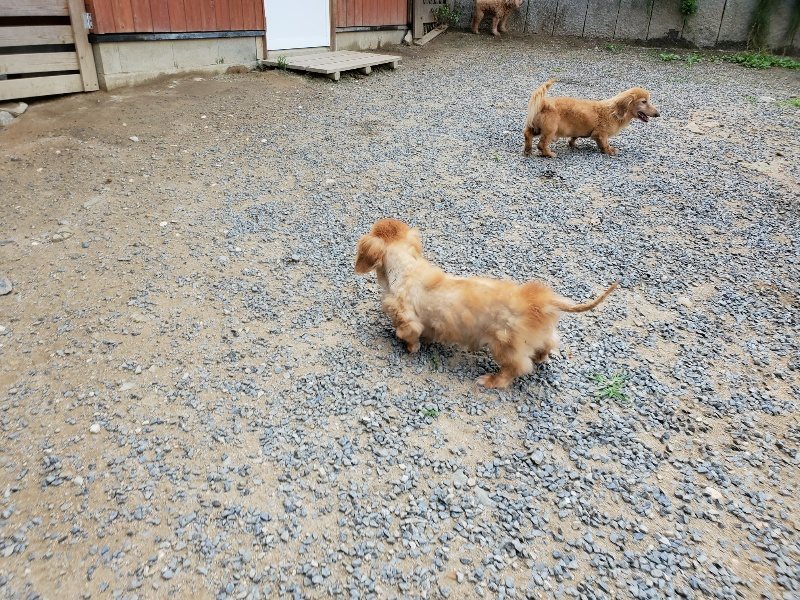 f:id:roukenhome-ann:20190917070652j:plain