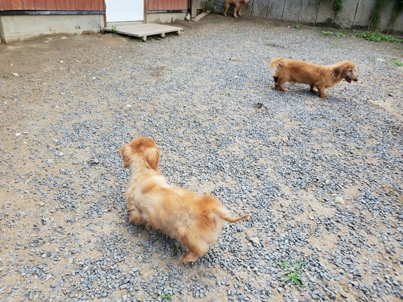 f:id:roukenhome-ann:20190917070659j:plain