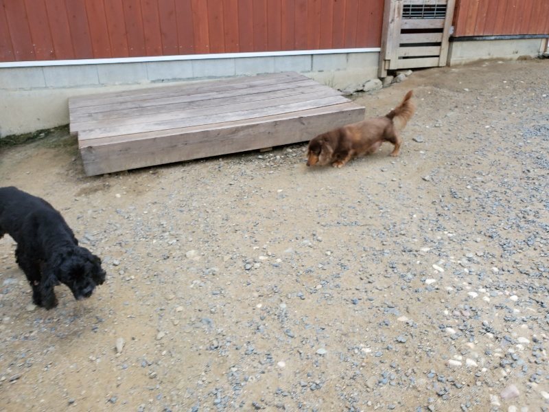 f:id:roukenhome-ann:20190917070704j:plain