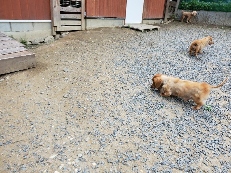 f:id:roukenhome-ann:20190917070710j:plain