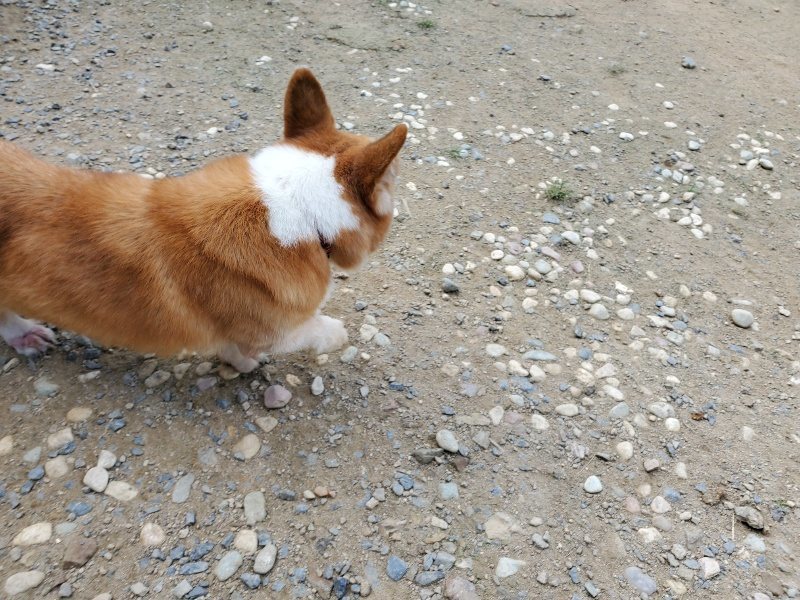 f:id:roukenhome-ann:20190917070728j:plain