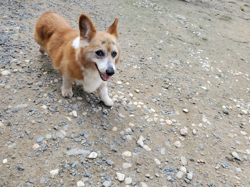 f:id:roukenhome-ann:20190917070733j:plain