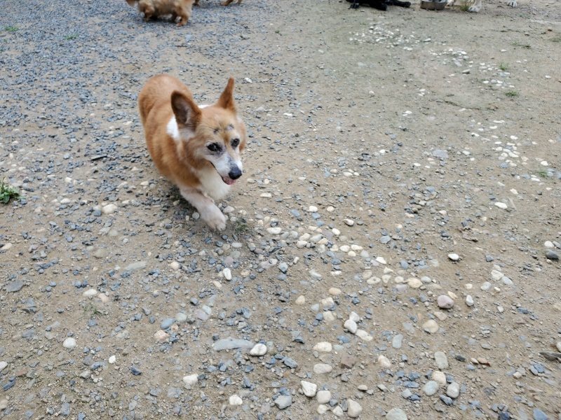 f:id:roukenhome-ann:20190917070745j:plain