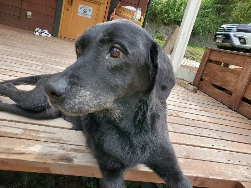 f:id:roukenhome-ann:20190917070943j:plain
