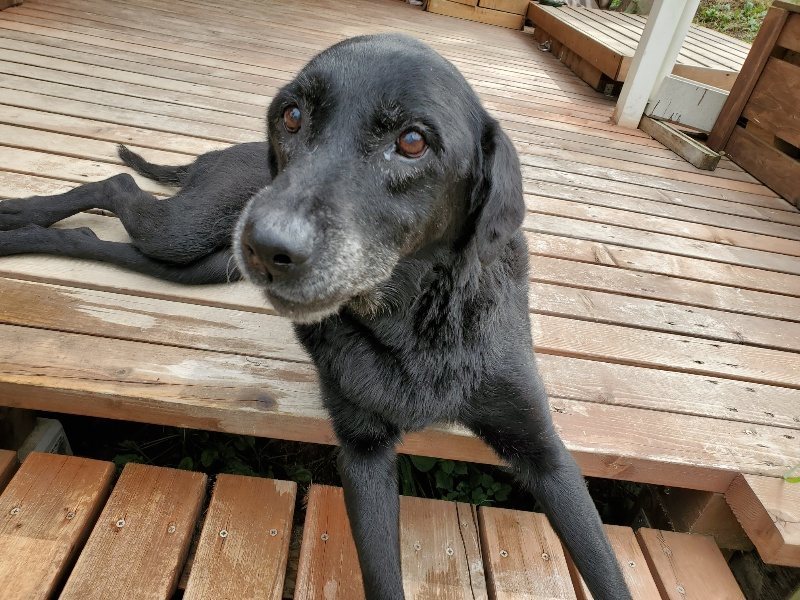 f:id:roukenhome-ann:20190917070948j:plain