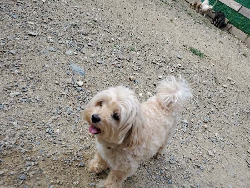 f:id:roukenhome-ann:20190917071018j:plain