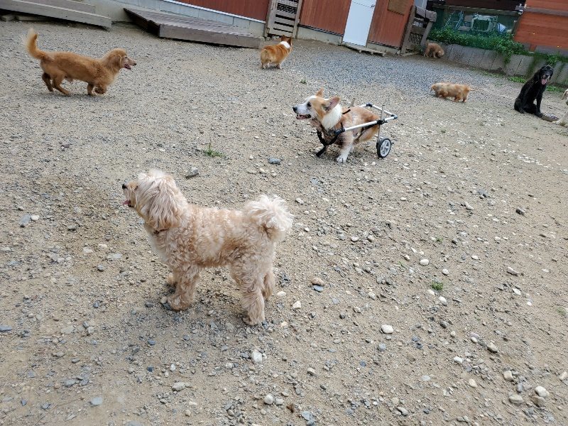 f:id:roukenhome-ann:20190917071024j:plain