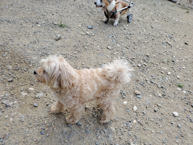 f:id:roukenhome-ann:20190917071030j:plain