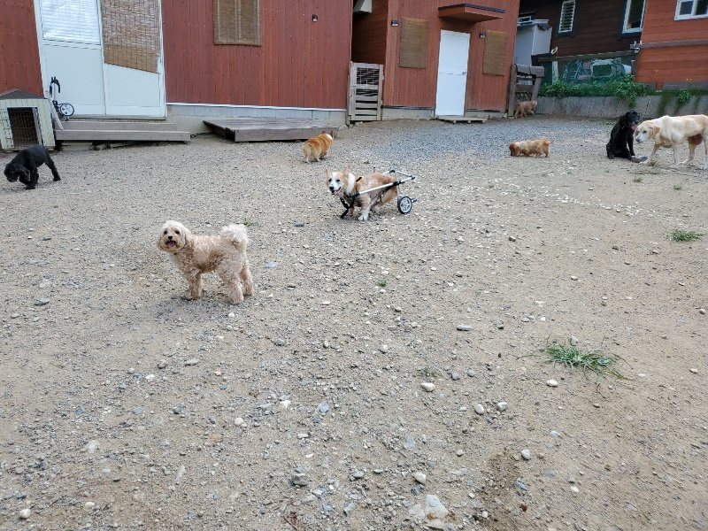 f:id:roukenhome-ann:20190917071045j:plain
