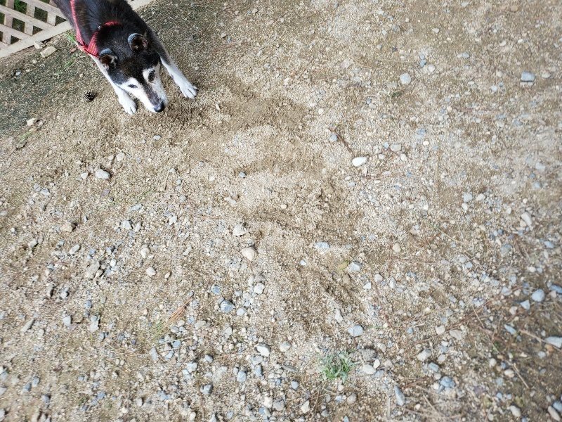 f:id:roukenhome-ann:20190917071121j:plain