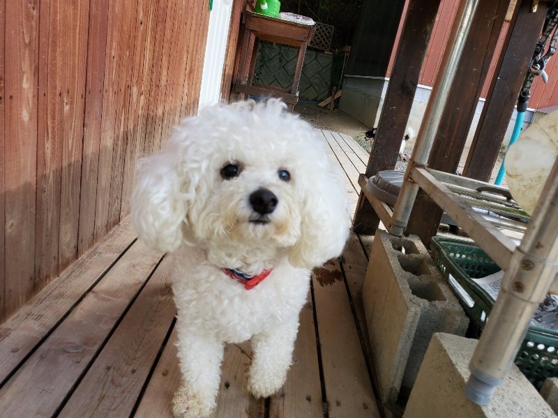 f:id:roukenhome-ann:20190917071137j:plain