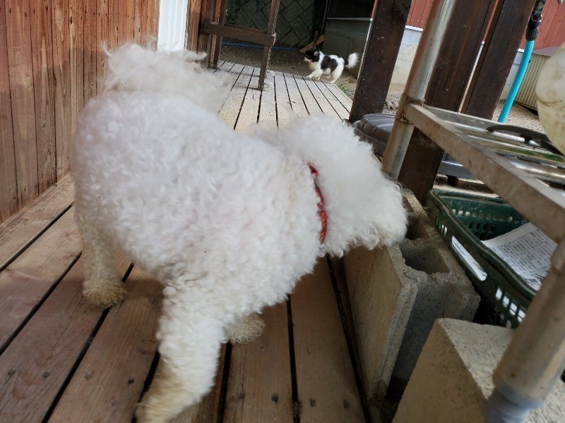 f:id:roukenhome-ann:20190917071142j:plain