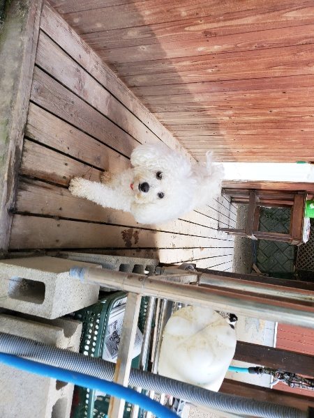 f:id:roukenhome-ann:20190917071149j:plain