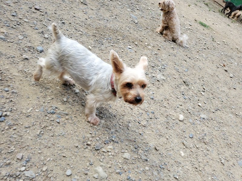 f:id:roukenhome-ann:20190917071211j:plain