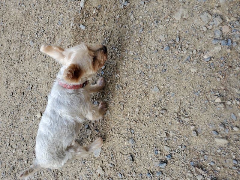 f:id:roukenhome-ann:20190917071217j:plain