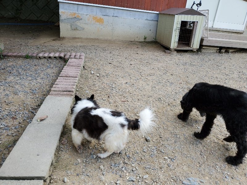 f:id:roukenhome-ann:20190917071223j:plain