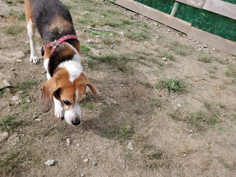 f:id:roukenhome-ann:20190917071429j:plain