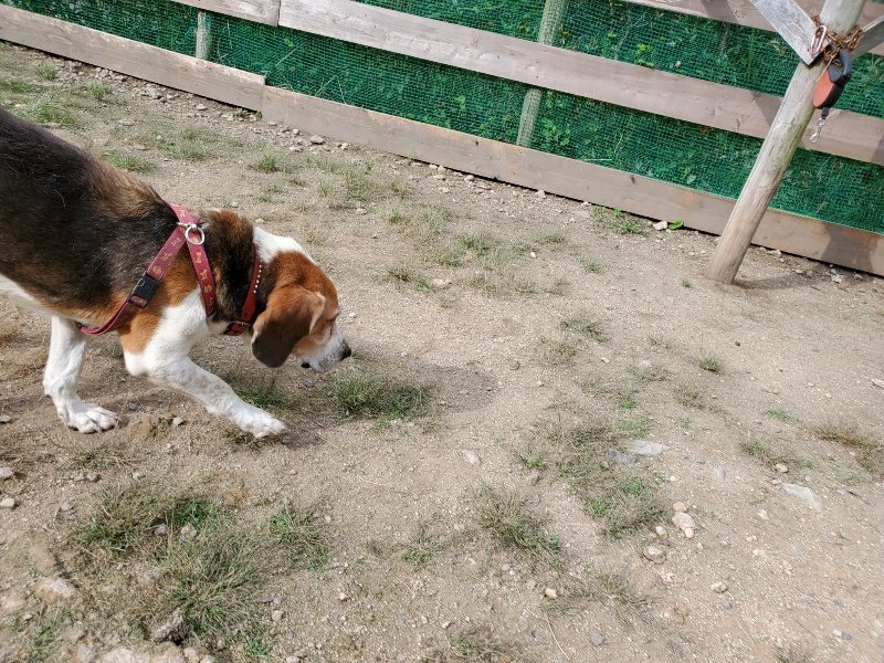 f:id:roukenhome-ann:20190917071434j:plain