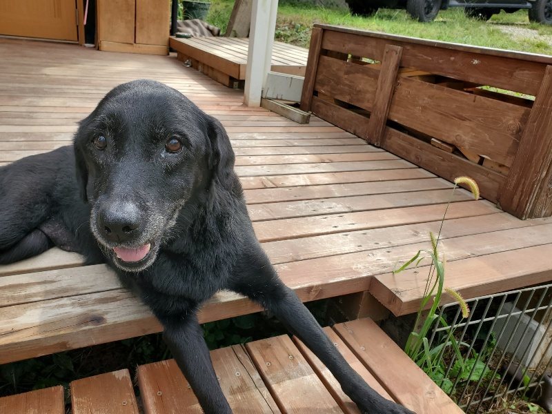 f:id:roukenhome-ann:20190917071505j:plain