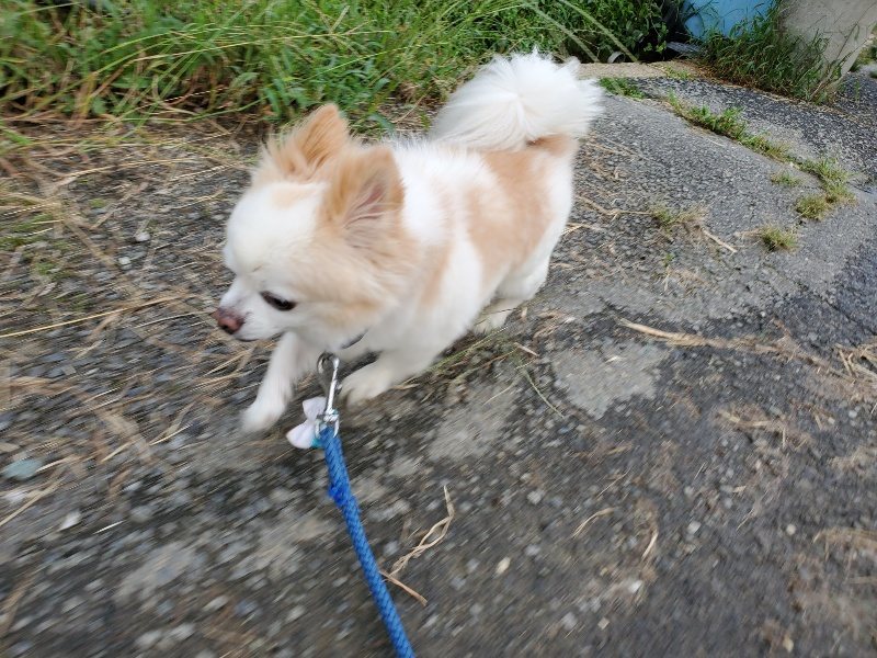 f:id:roukenhome-ann:20190917071744j:plain