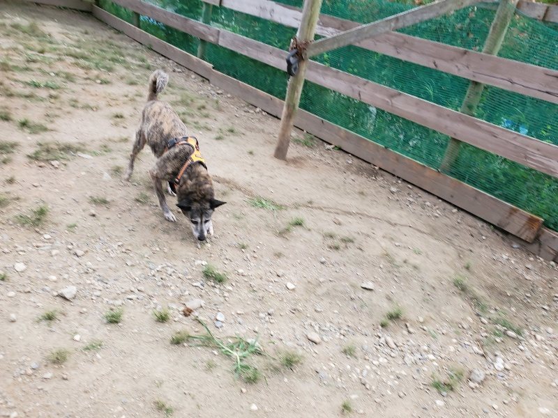 f:id:roukenhome-ann:20190917071755j:plain