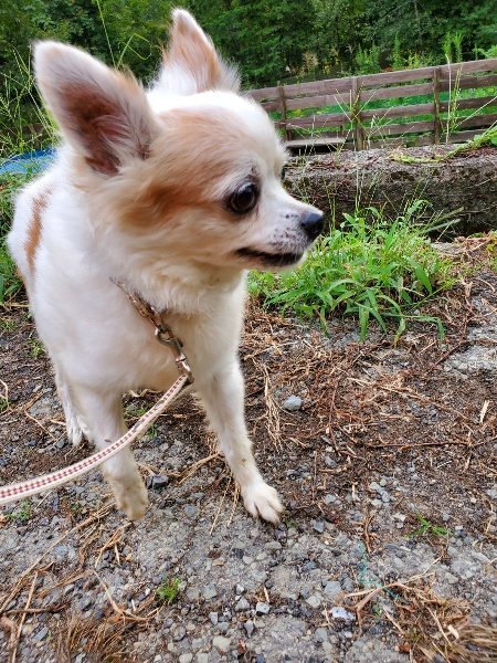 f:id:roukenhome-ann:20190917071759j:plain