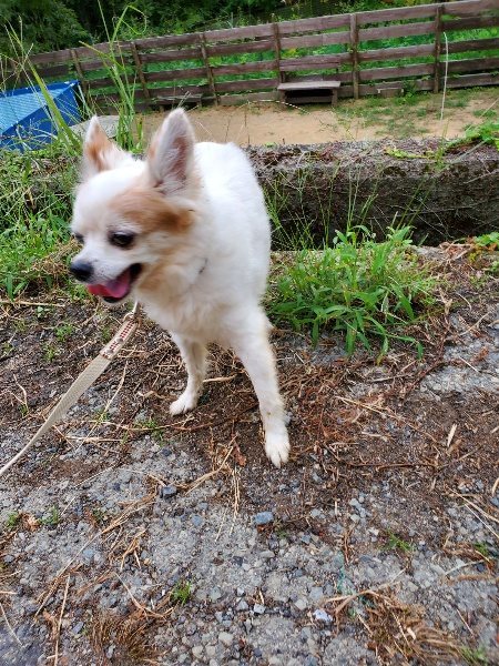 f:id:roukenhome-ann:20190917071805j:plain