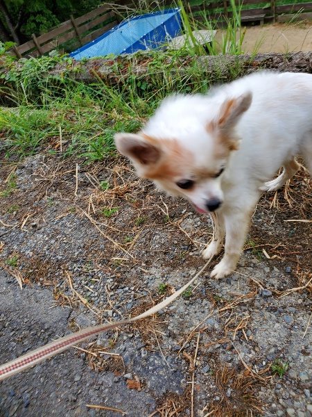 f:id:roukenhome-ann:20190917071815j:plain