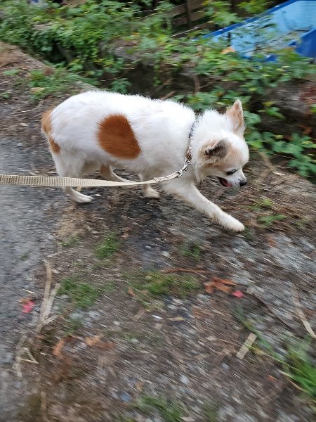 f:id:roukenhome-ann:20190917071824j:plain