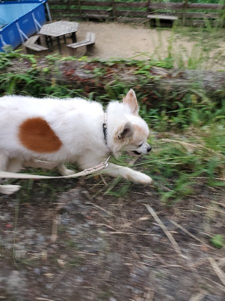 f:id:roukenhome-ann:20190917071828j:plain