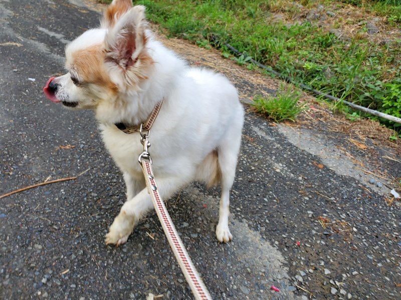 f:id:roukenhome-ann:20190917071833j:plain
