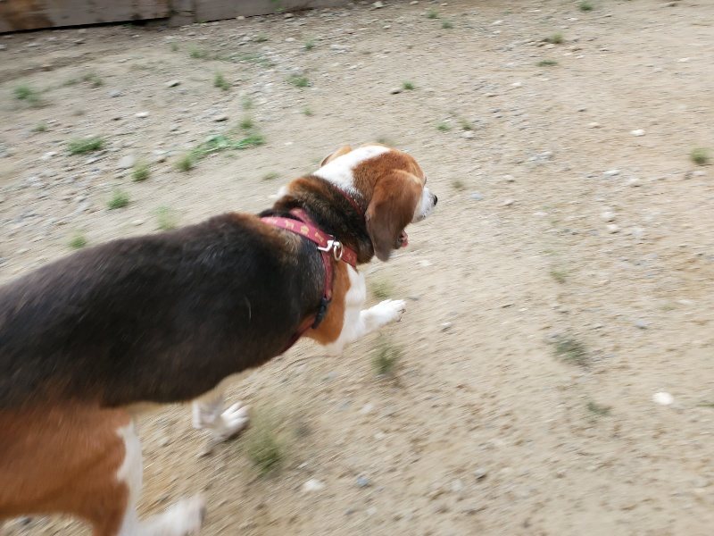 f:id:roukenhome-ann:20190917071851j:plain