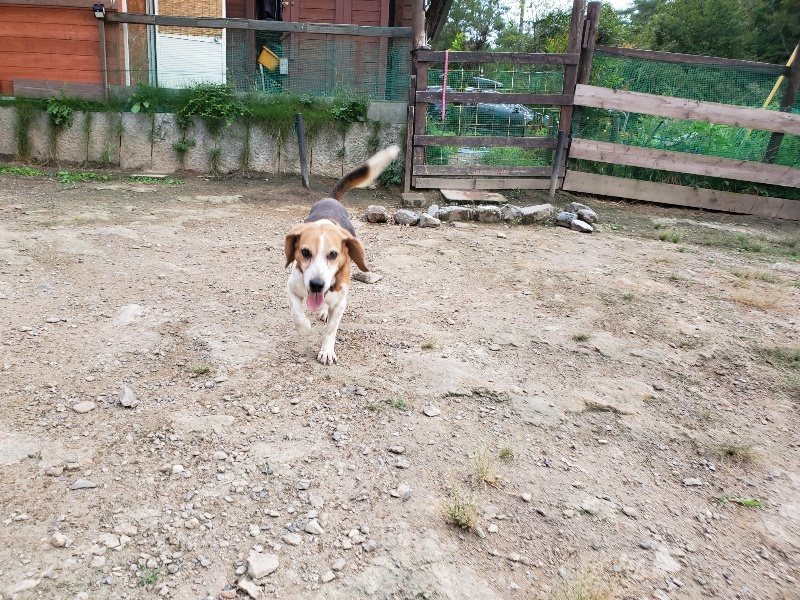 f:id:roukenhome-ann:20190917071857j:plain