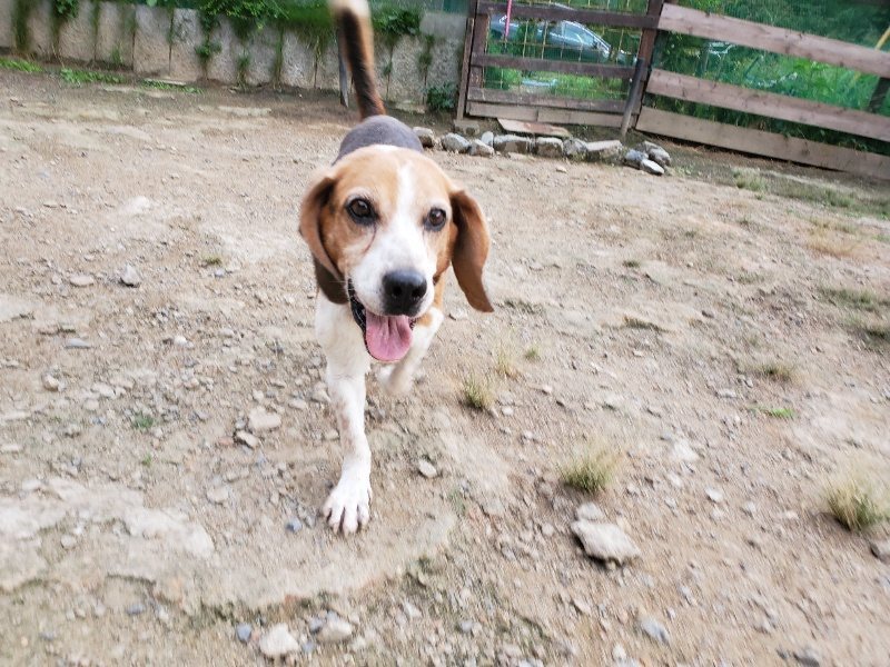 f:id:roukenhome-ann:20190917071902j:plain