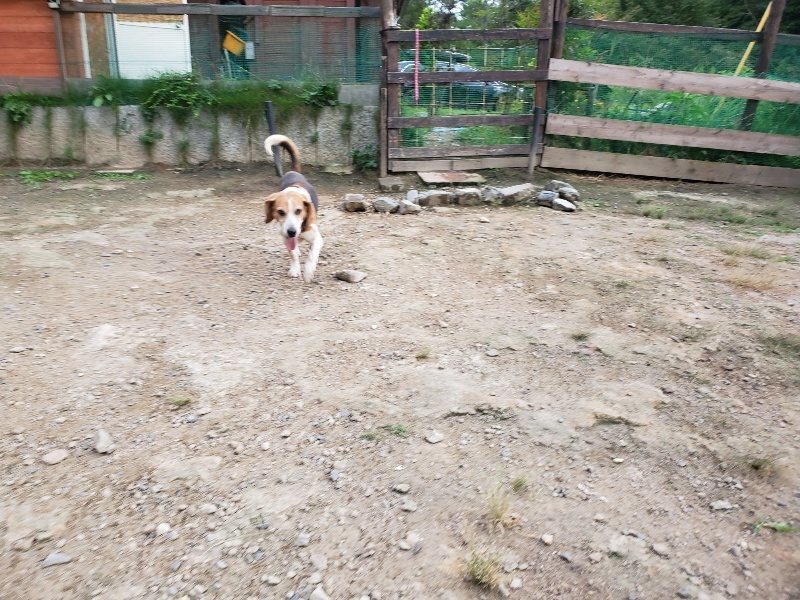 f:id:roukenhome-ann:20190917071907j:plain