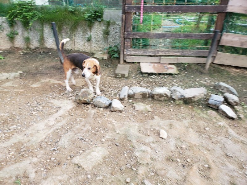 f:id:roukenhome-ann:20190917071914j:plain