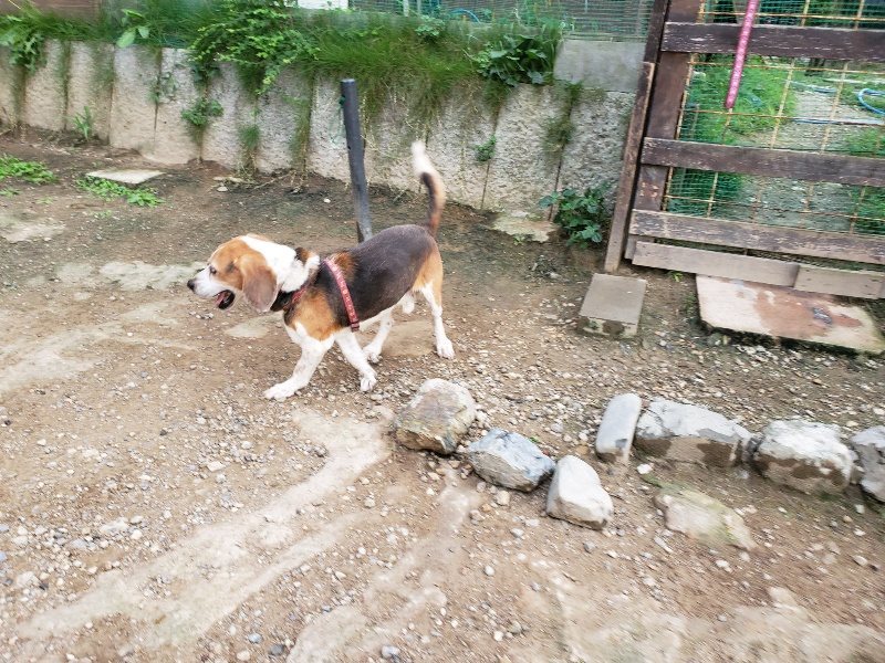 f:id:roukenhome-ann:20190917071918j:plain