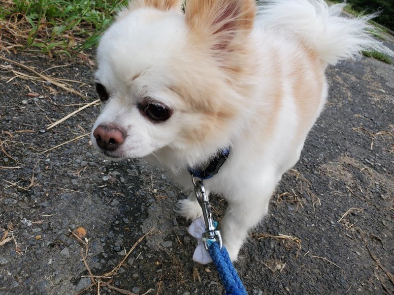 f:id:roukenhome-ann:20190917071923j:plain