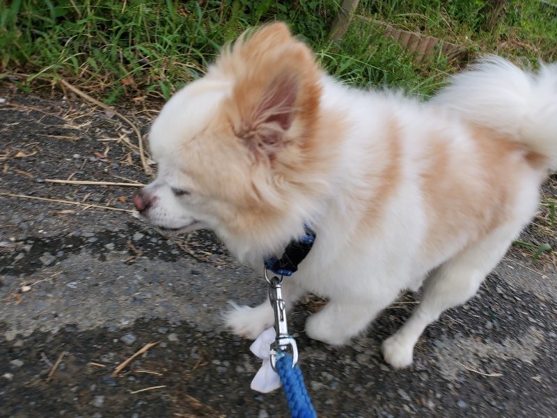 f:id:roukenhome-ann:20190917071935j:plain