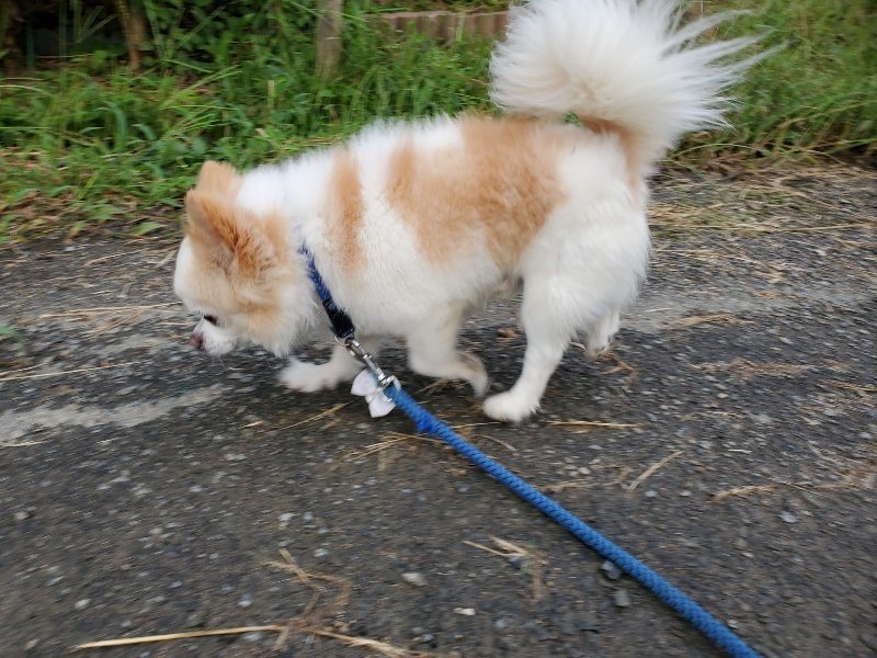 f:id:roukenhome-ann:20190917071940j:plain
