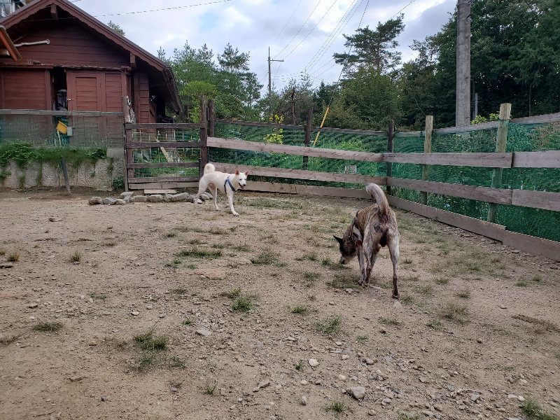 f:id:roukenhome-ann:20190917072140j:plain