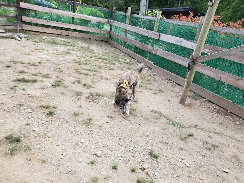 f:id:roukenhome-ann:20190917072146j:plain