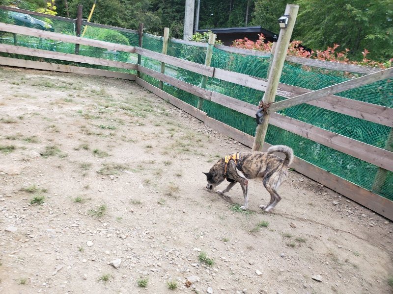 f:id:roukenhome-ann:20190917072152j:plain